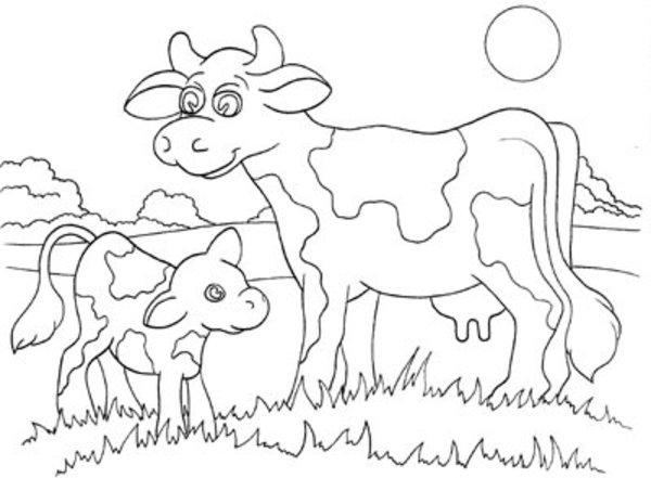 Cow And Calf Coloring Pages at GetColorings.com | Free printable ...