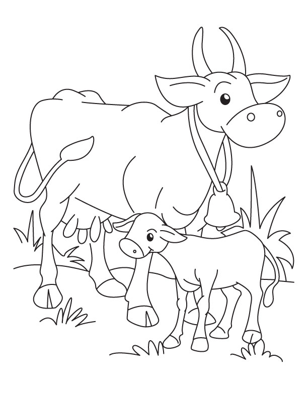 Cow And Calf Coloring Pages 612x792 Cow And Calf Coloring Pages