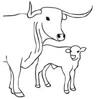 Cow And Calf Coloring Pages Surfnetkids 200x200 Cow And Calf Coloring Pages Surfnetkids