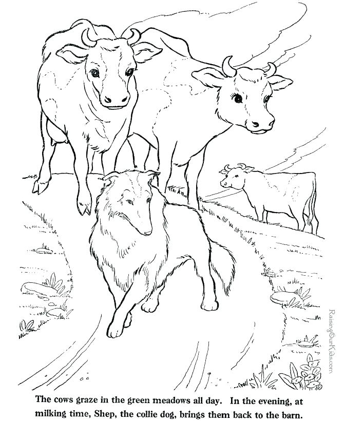 Cows Coloring Pages Coloring Pages Online Page Cow Item Nativity 670x820 Cows Coloring Pages Coloring Pages Online Page Cow Item Nativity