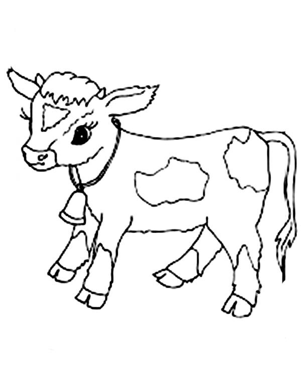 Cow Cartoon Coloring Pages