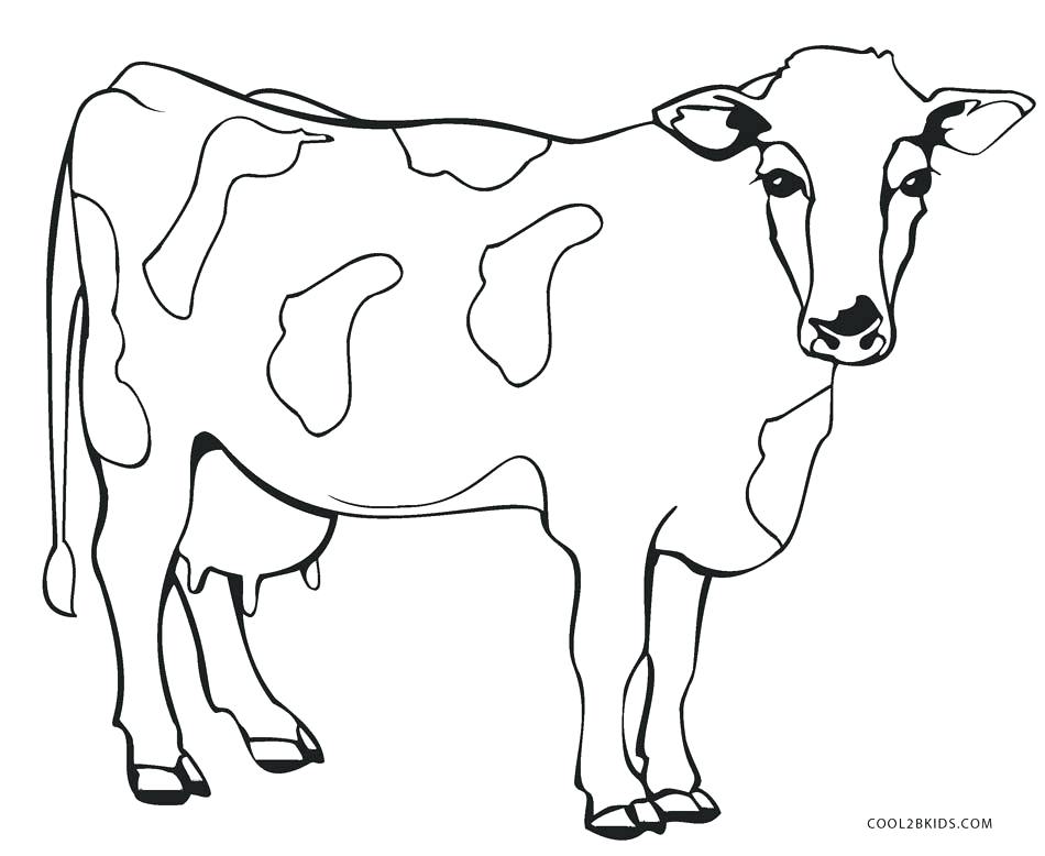 Cow Coloring Pictures Coloring Page Cow Cartoon Of Smiling Cow 950x778 Cow Coloring Pictures Coloring Page Cow Cartoon Of Smiling Cow