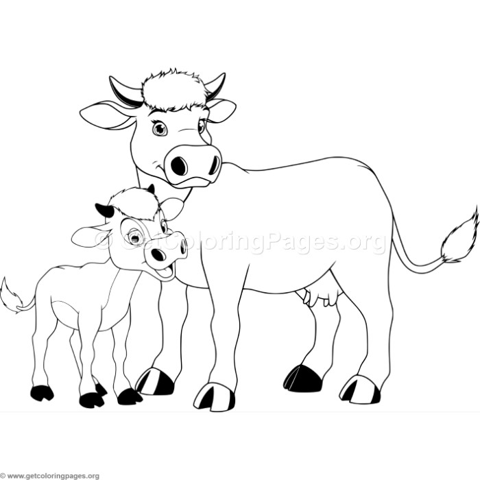 Mother Cow And Calf Coloring Pages 700x700 Mother Cow And Calf Coloring Pages