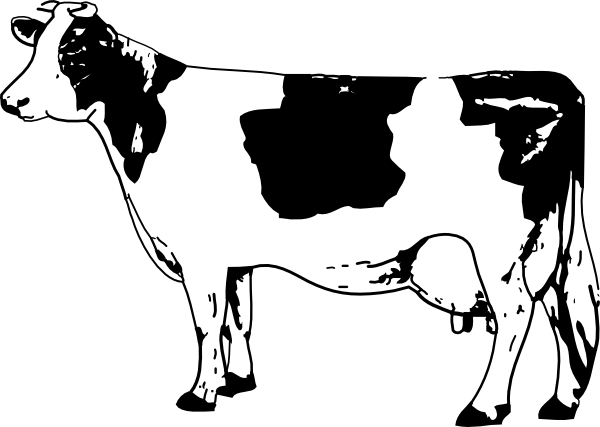 Cow Coloring Pages 2 Coloring Pages To Print 600x427 Cow Coloring Pages 2 Coloring Pages To Print