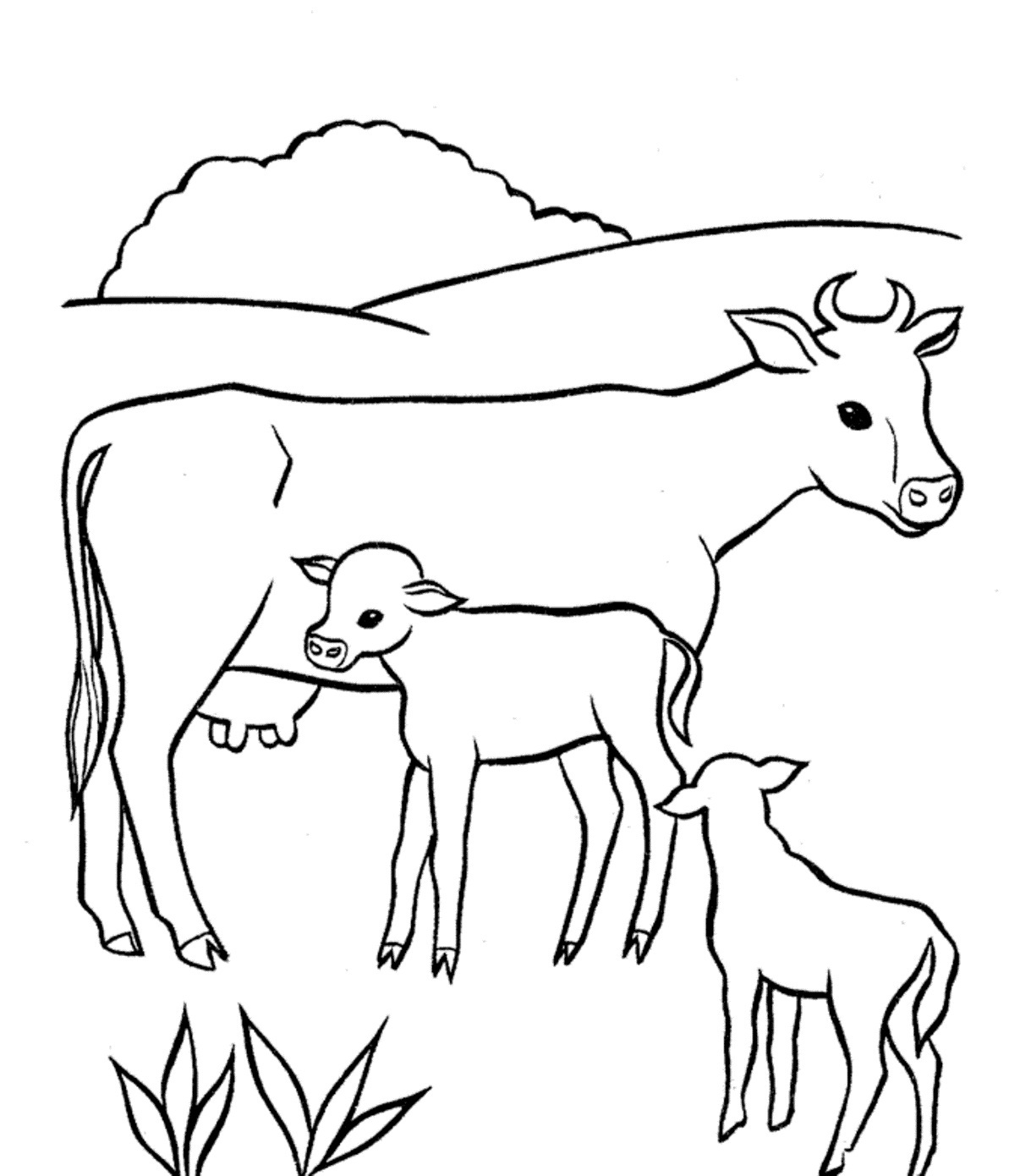 Cow Coloring Pages For Adults Drawn Page Pencil And In Color 1193x1390 Cow Coloring Pages For Adults Drawn Page Pencil And In Color