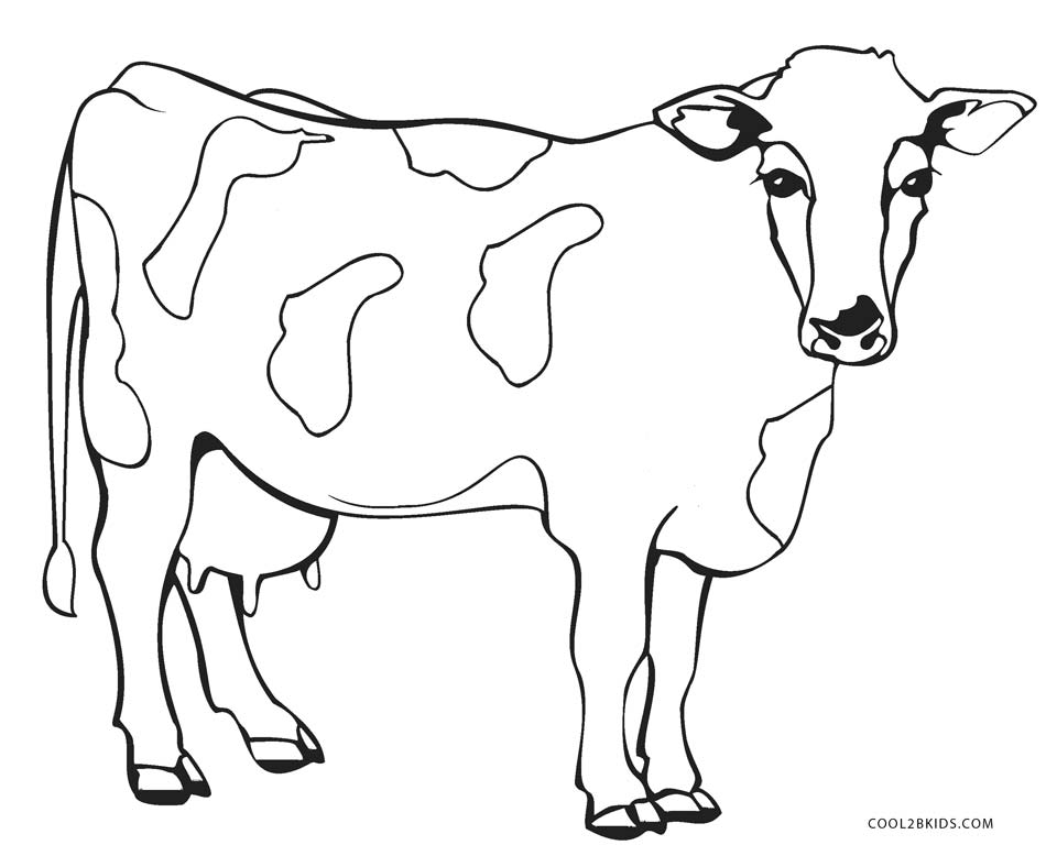 Cattle Coloring Pages 950x778 Cattle Coloring Pages