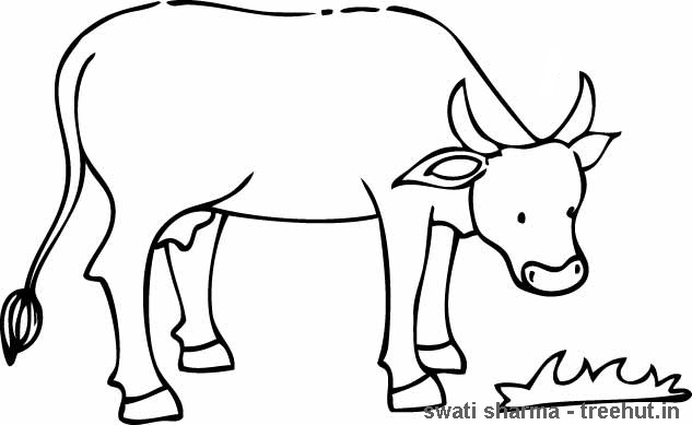 Cow Coloring Pages 633x389 Cow Coloring Pages