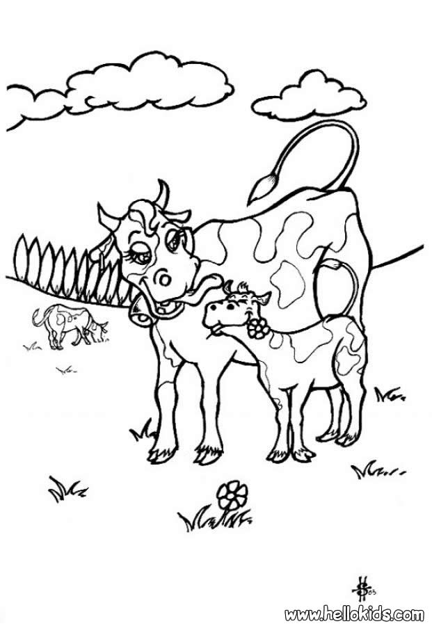 Cow Coloring Pages 621x900 Cow Coloring Pages