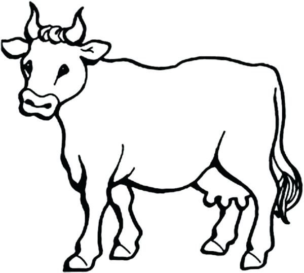 Cows Coloring Pages Picture Of Milch Cow Coloring Page Free 600x538 Cows Coloring Pages Picture Of Milch Cow Coloring Page Free