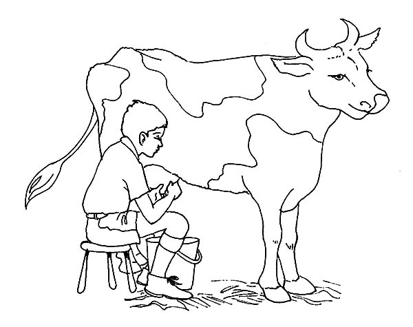 Jokes Of Milking Cow Coloring Pages Color Luna 600x475 Jokes Of Milking Cow Coloring Pages Color Luna