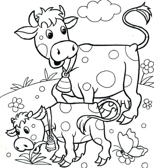 Coloring Pages Cow Coloring Page Of A Cow Cow With Beautiful 536x587 Coloring Pages Cow Coloring Page Of A Cow Cow With Beautiful