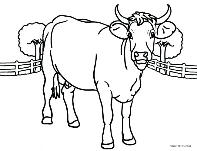650x500 Cow Coloring Picture 4 H Coloring Sheets Plus Baby Cow Coloring