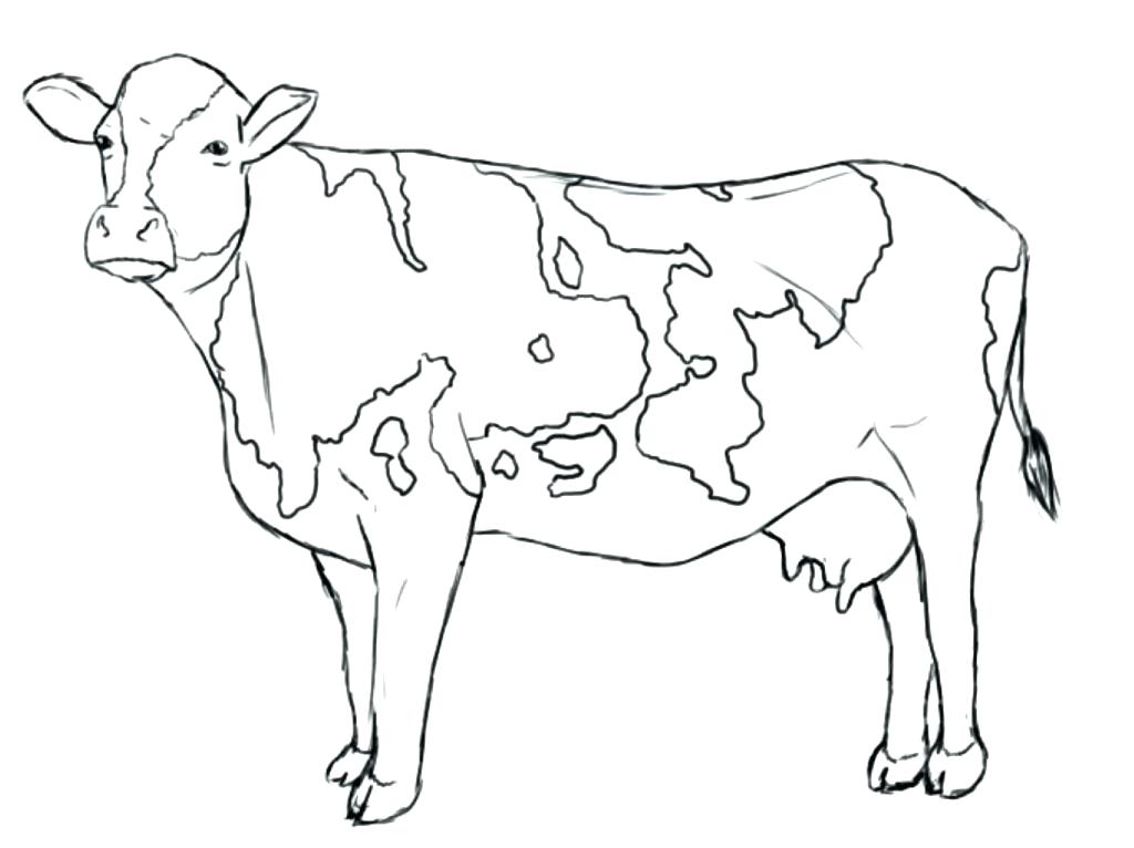 1024x766 Inspiring Cows Coloring Pages Free Printable Cow Cattle Coloring