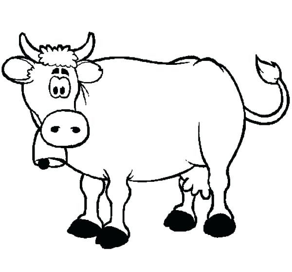 600x558 Cow Coloring Pages Confused Dairy Cow Coloring Pages Coloring