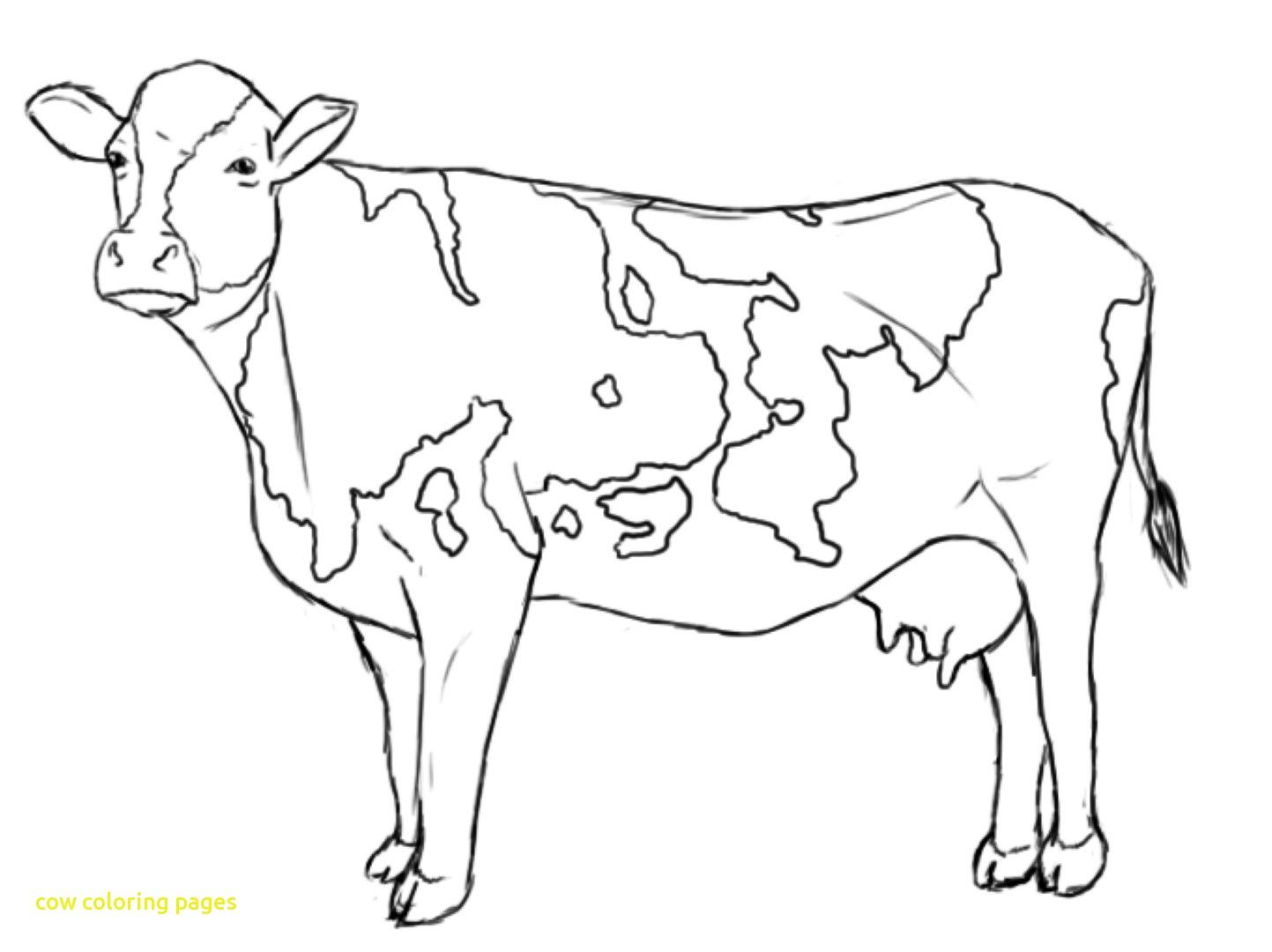1443x1080 Cow Coloring Pages With Cow Coloring Pages Printable Coloringstar