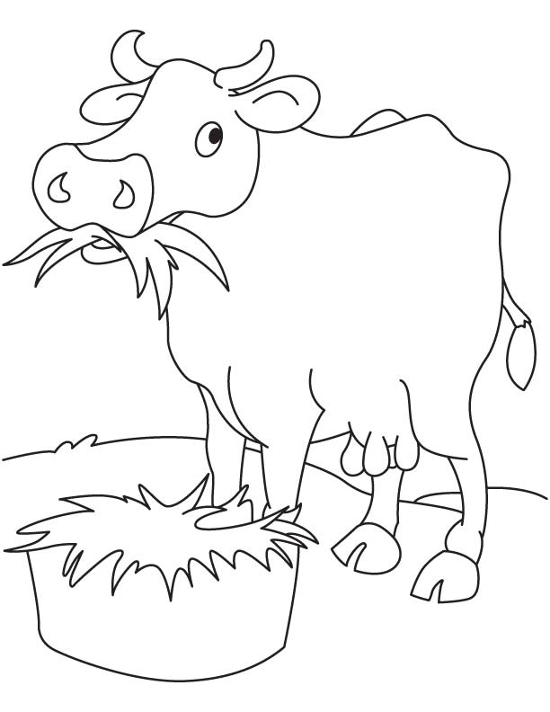 612x792 Yak Coloring Page Grass Eating Cow