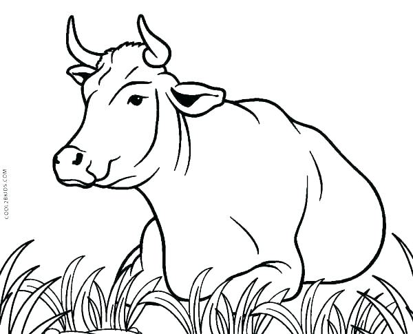 600x485 Cute Cow Coloring Pages Free Cow Coloring Pages Printable Cow