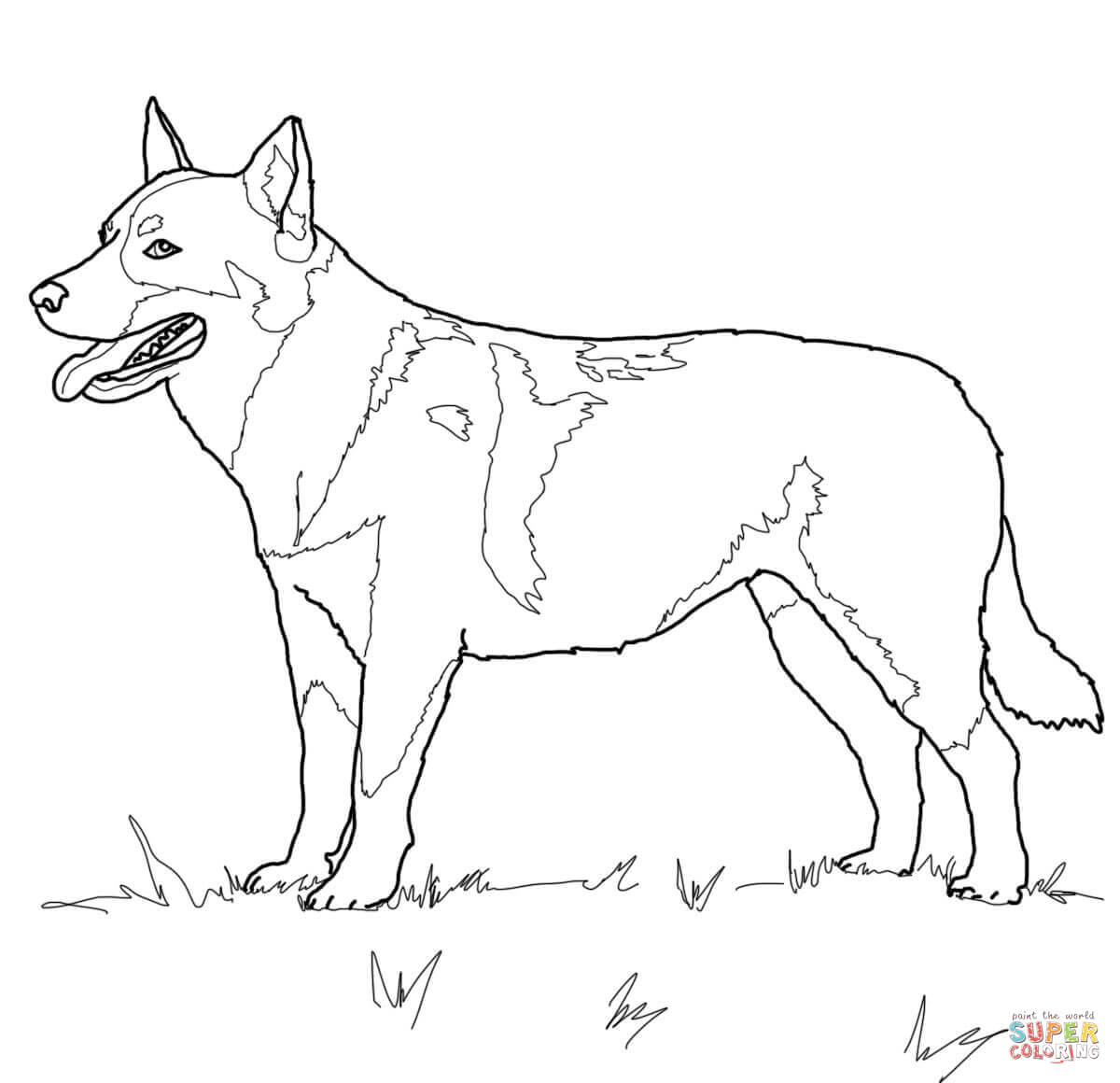 1200x1160 Quick Dog Colouring Sheets Australian Cattle C