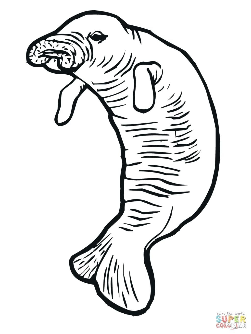 1024x1365 Coloring Pages ~ Cow Coloring Pages Manatee Or Sea Page Free