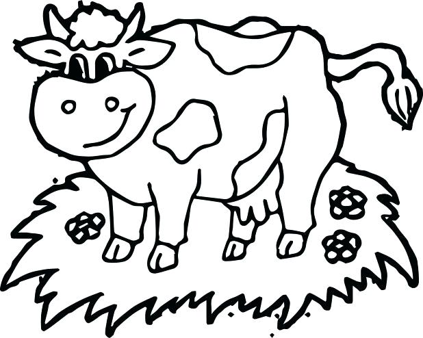 618x494 Coloring Pages Cow Cool And Opulent Cow Coloring Pages Cow