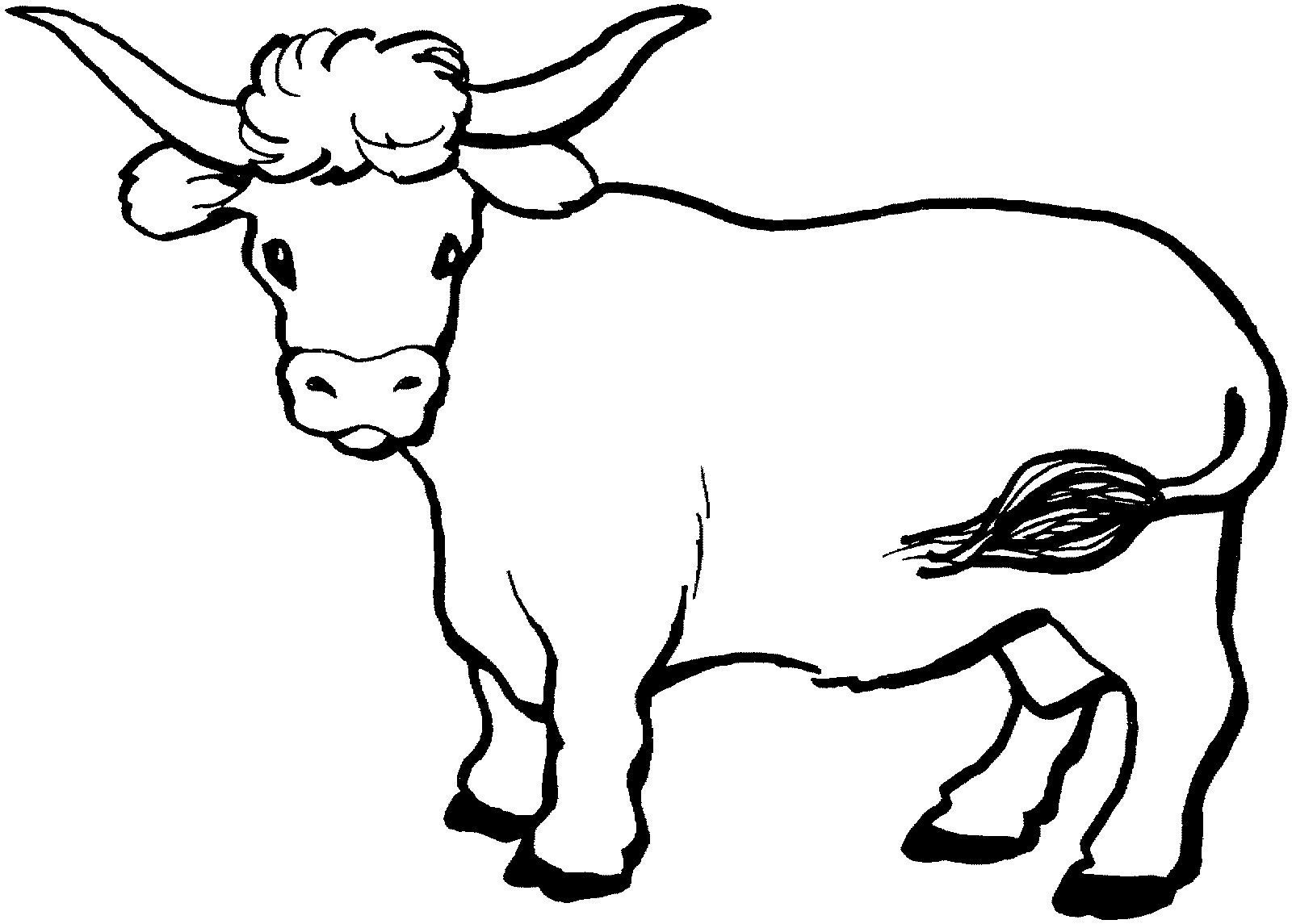 1600x1145 Cow Cattle Coloring Page Best Is Pages Printable Animals Longhorn