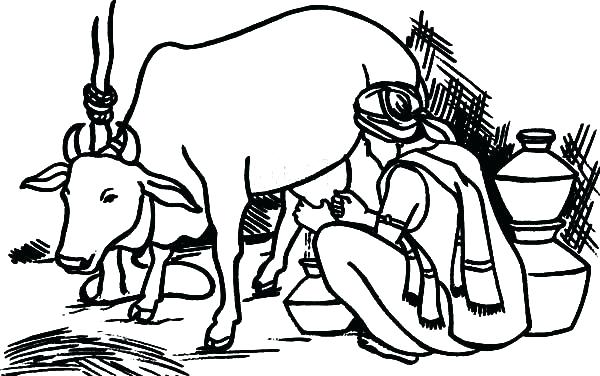 Cow Face Coloring Pages