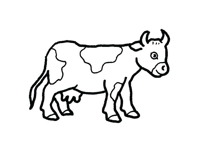 Cow Face Coloring Page 700x500 Cow Face Coloring Page