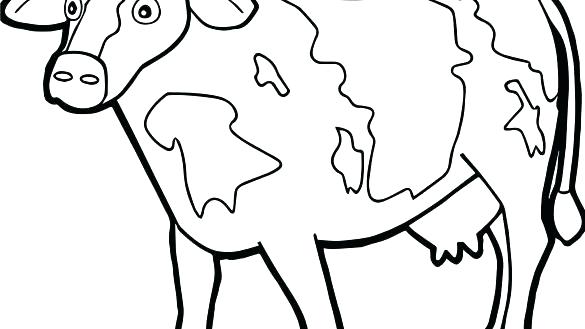 585x329 Cow Coloring Page Cow Coloring Pages Healthy Cow Coloring Page Cow