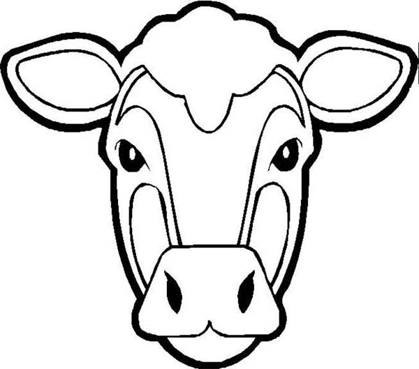 600x529 Picture Of Cow Head Coloring Page