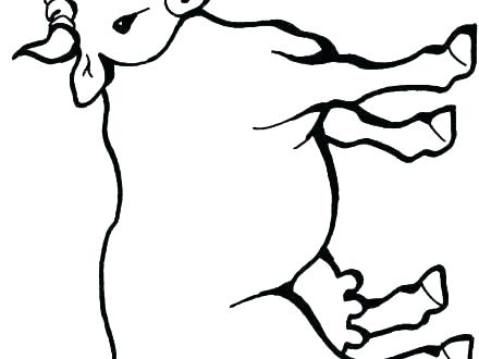 440x330 Cow Printable Coloring Pages Cow Printable Coloring Pages Cute