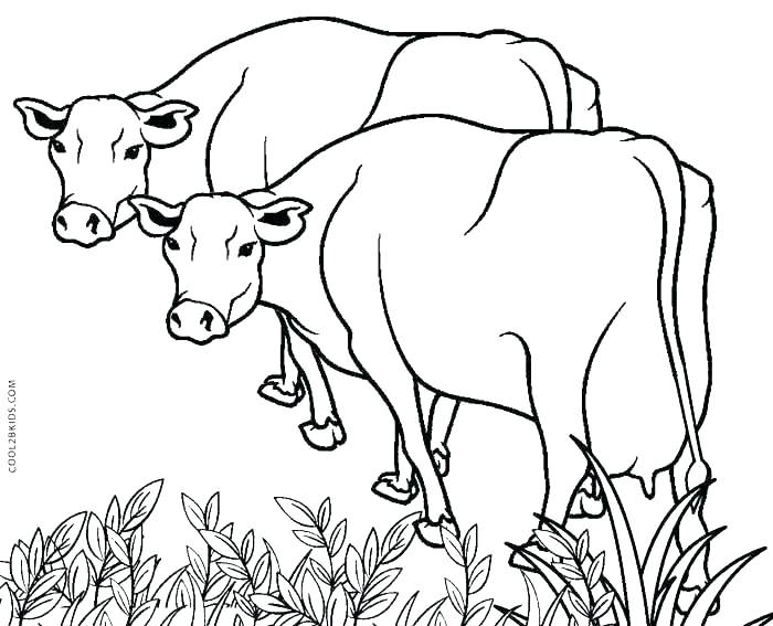 700x567 Cow Printable Coloring Pages Free Cow Coloring Pages Printable Cow