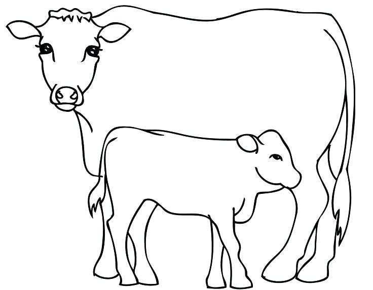 736x573 Printable Coloring Pages Christmas Presents Pictures Of Cows Cow