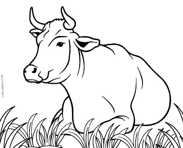 600x485 Printable Coloring Pages Free Coloring Cow Coloring Pages Cow