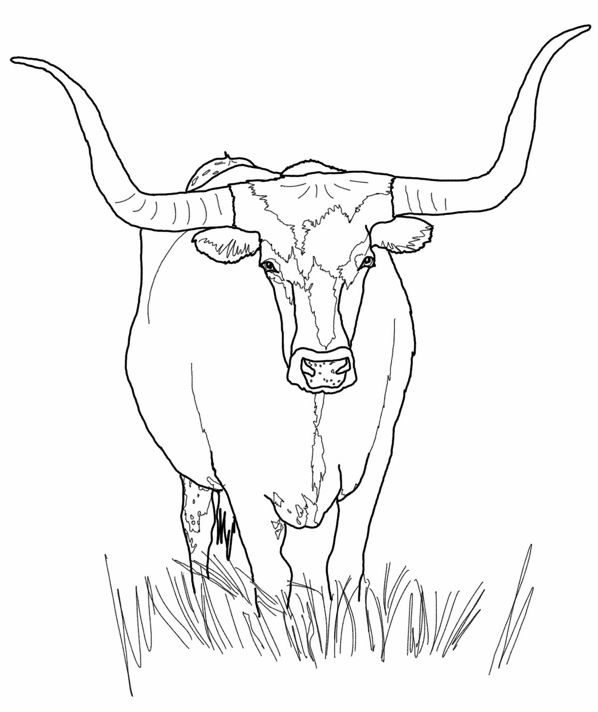 1200x1429 Printable Cow Coloring Pages Coloring Me
