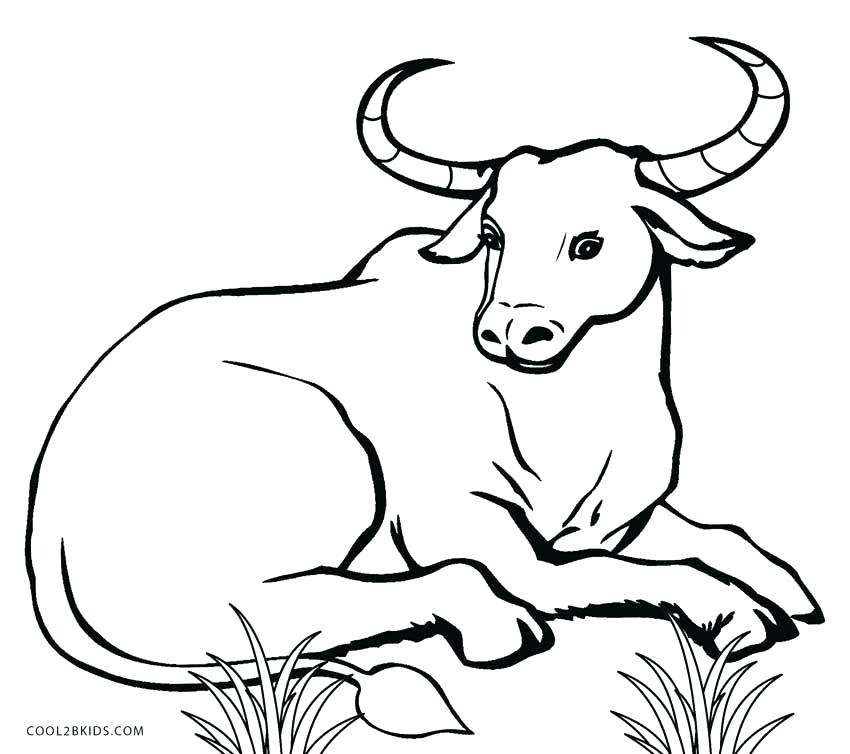 850x754 Coloring Pages Cow Cow Coloring Pages Free Printable Coloring
