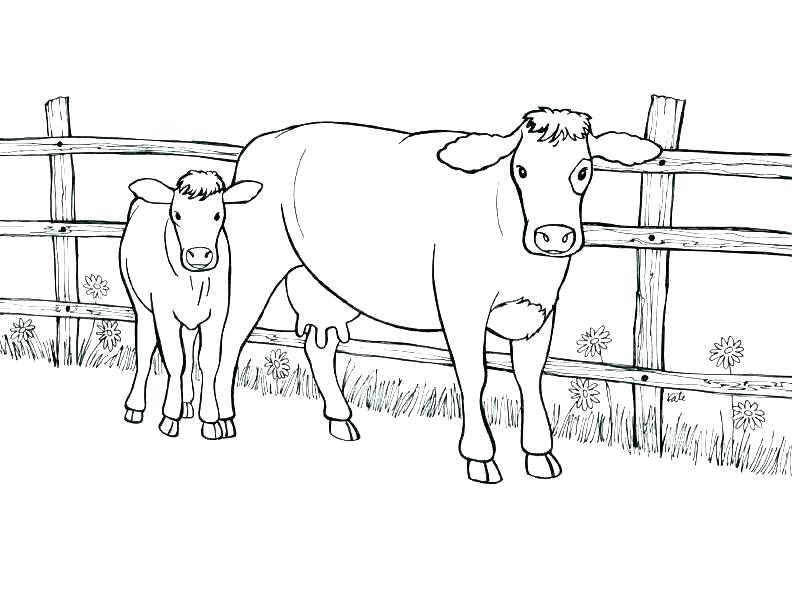792x607 Cow Coloring Page Cows Coloring Pages Cow Printable Coloring Pages