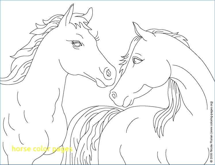 Cowboy Horse Coloring Page For Boys 747x575 Cowboy Horse Coloring Page For Boys