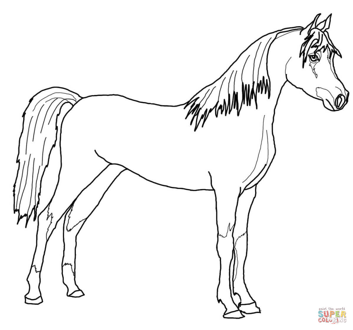1198x1122 Unthinkable Arabian Horse Coloring Pages To Print