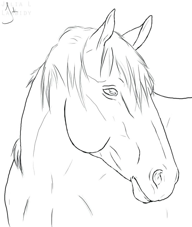 736x868 Coloring Pages Horses Wild Horses Coloring Pages Horse Coloring