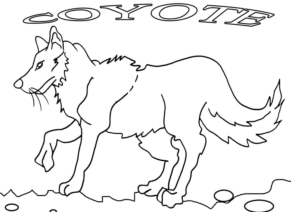 Coyote Coloring Pictures Kids Coloring Free Printable Coyote 1024x744 Coyote Coloring Pictures Kids Coloring Free Printable Coyote