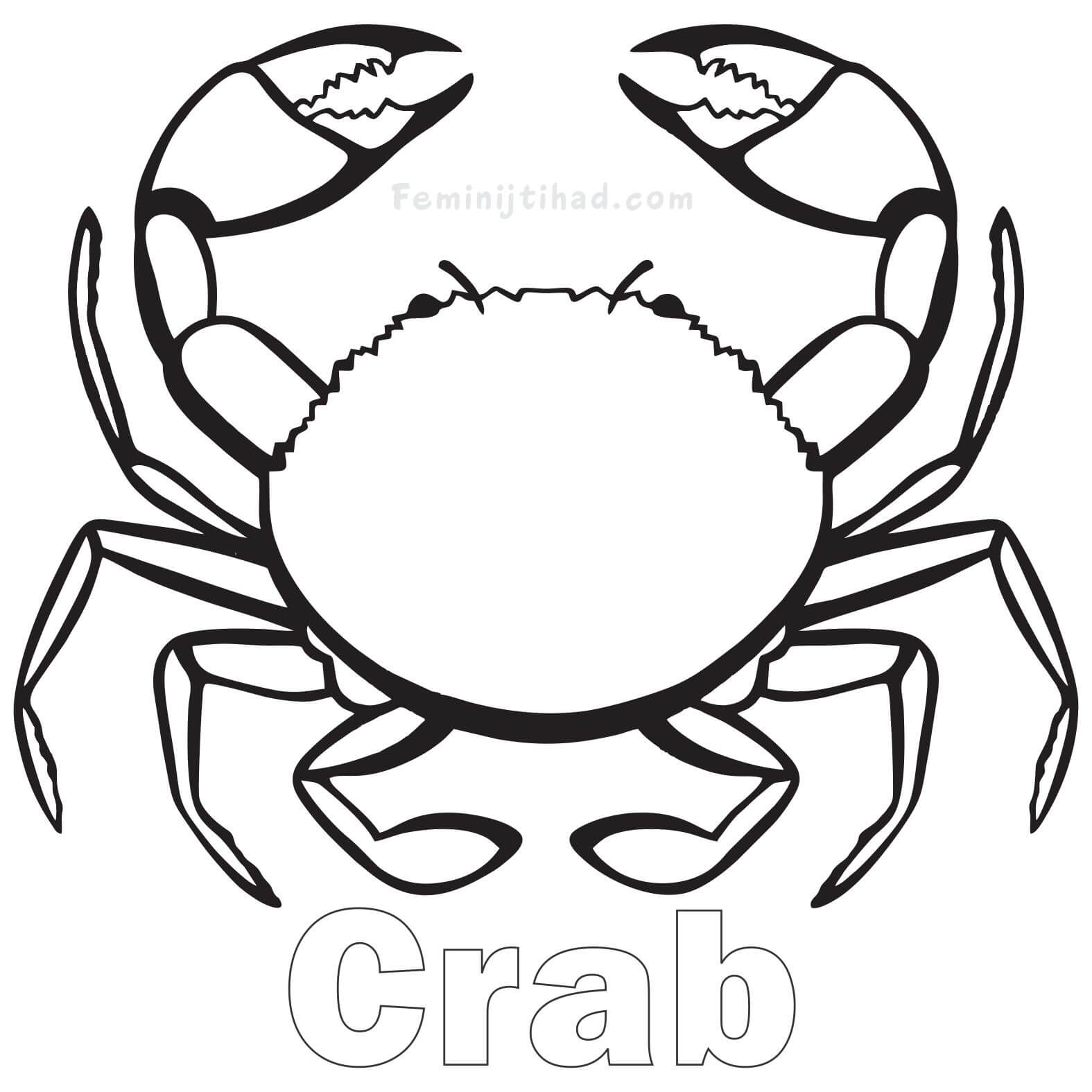 1575x1575 Crab Coloring Pages Printable Coloring Pages For Kids