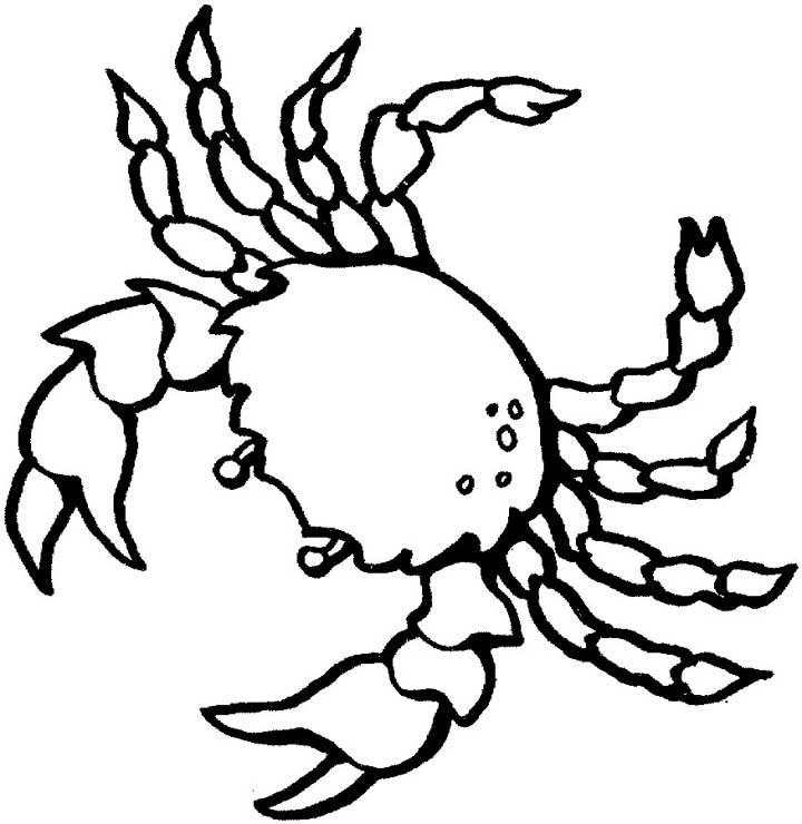 720x740 Crab Coloring Page For Kids