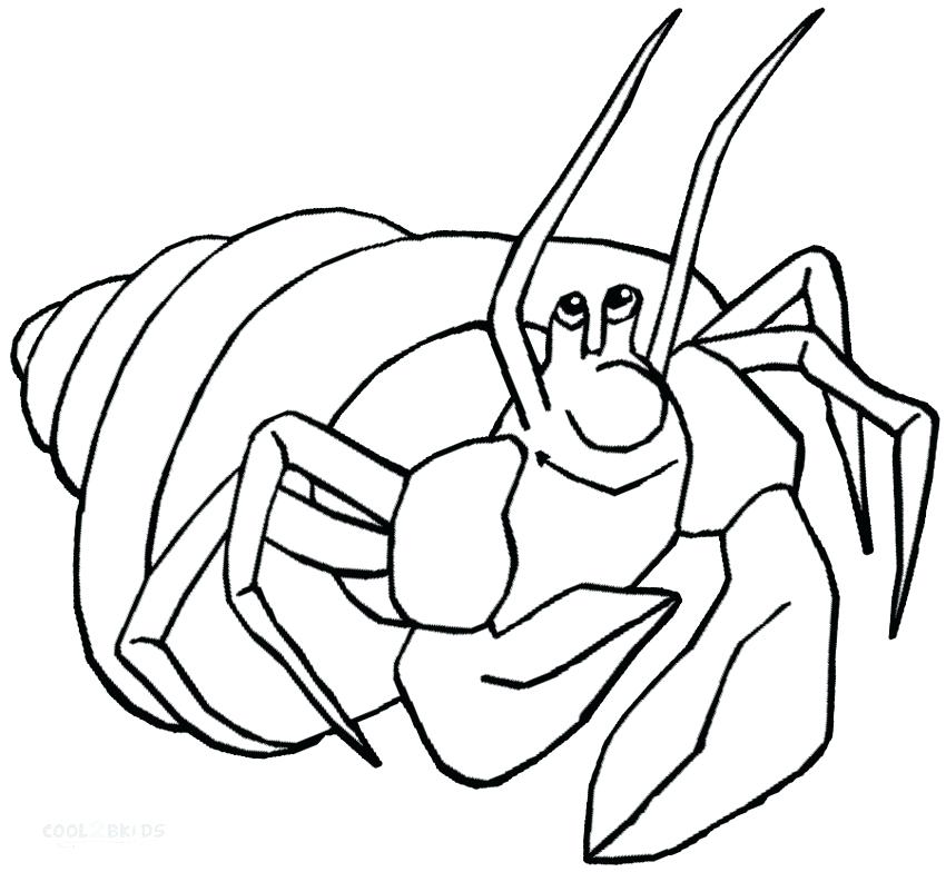 850x784 Crab Coloring Pages Coloring Pages Of Hermit Crab Crab Coloring