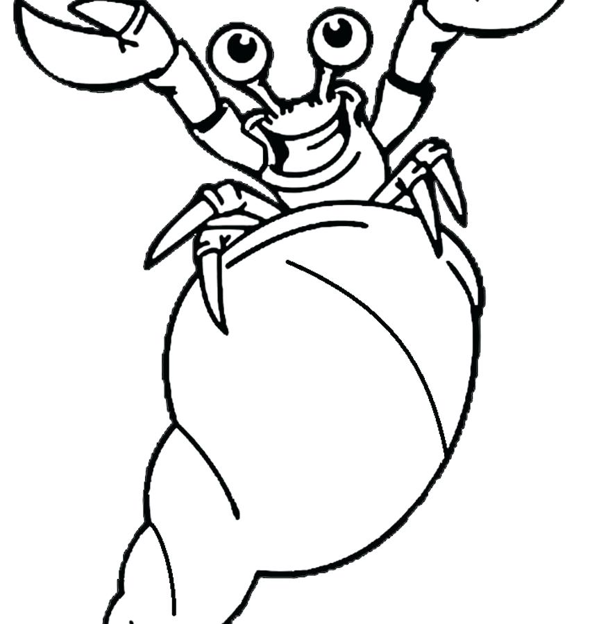 Hermit Crab Coloring Pages Printable Coloring Pages Of Animals 850x900 Hermit Crab Coloring Pages Printable Coloring Pages Of Animals
