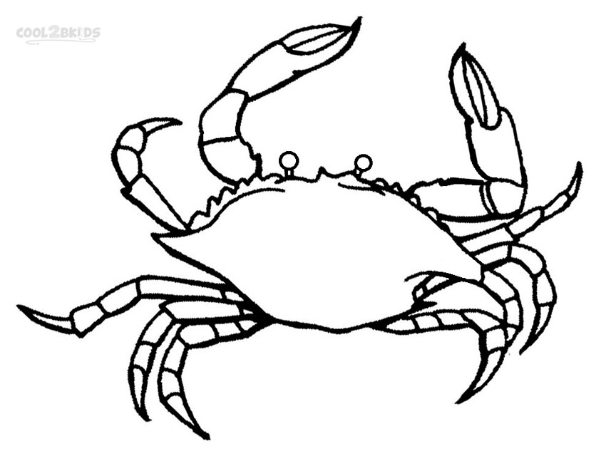 Printable Crab Coloring Pages For Kids Cool2bkids 850x640 Printable Crab Coloring Pages For Kids Cool2bkids