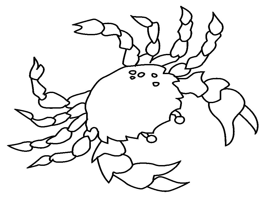Printable Crab Coloring Pages For Kids 1024x768 Printable Crab Coloring Pages For Kids