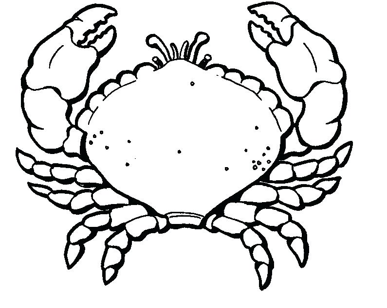 Crab Coloring Sheet 795x634 Crab Coloring Sheet