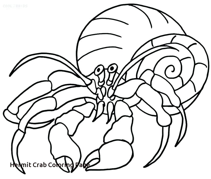 Crab Coloring Page Download Crab Coloring Page Stock Illustration 850x719 Crab Coloring Page Download Crab Coloring Page Stock Illustration