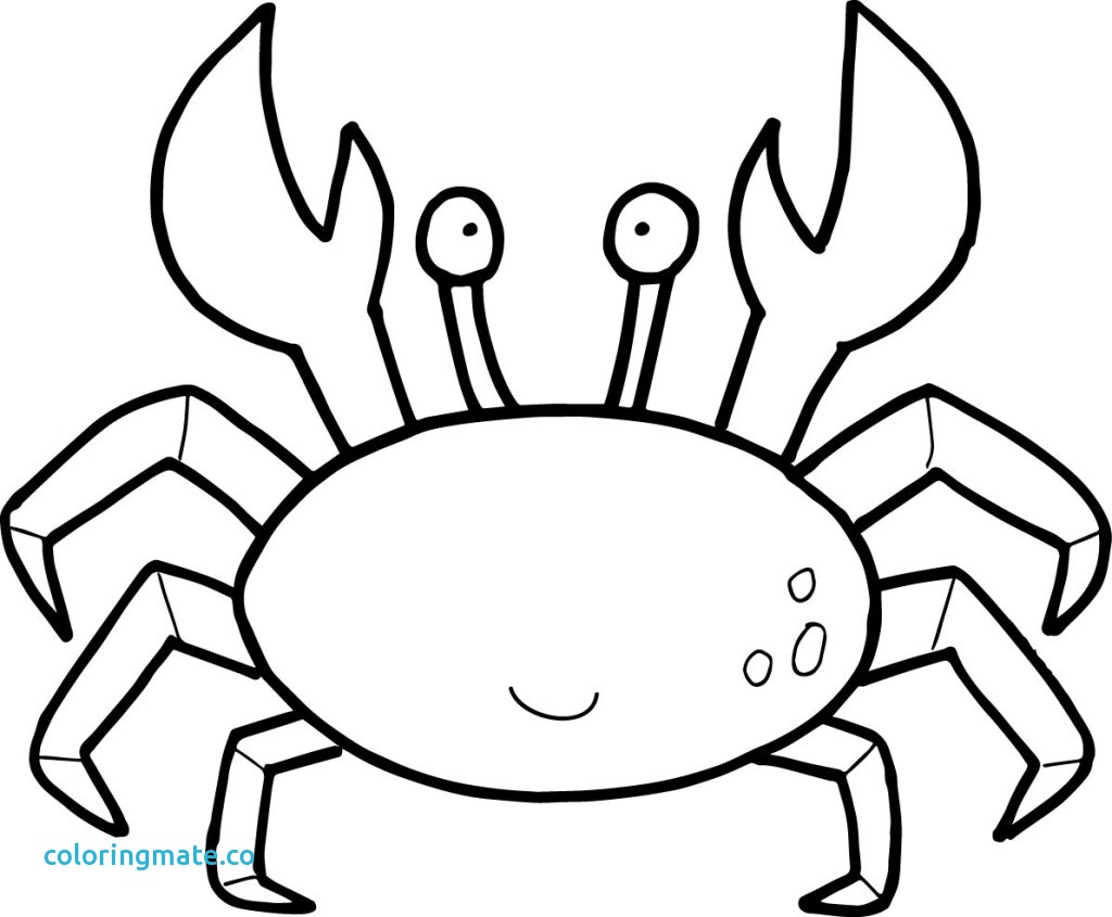 Crab Coloring Page Pages Preschool To Amusing Kids 1024x845 Crab Coloring Page Pages Preschool To Amusing Kids