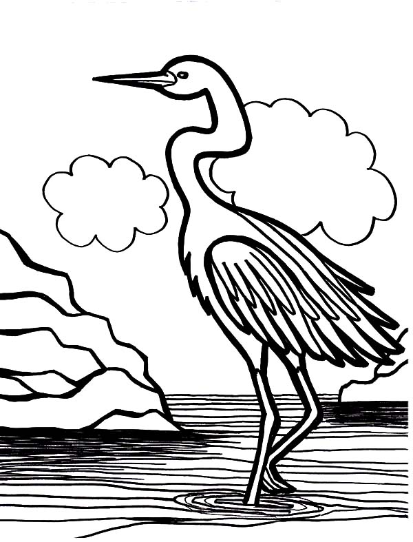 Crane Bird Is Swamp Bird Coloring Pages 600x787 Crane Bird Is Swamp Bird Coloring Pages
